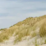 Strandhus Uiterst-hoern Treibholz Baltrum