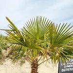 Strandhus Uiterst-hoern Treibholz *