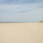 Strandhus Uiterst-hoern Treibholz *