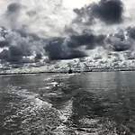 Strandhus Uiterst-hoern Treibholz *