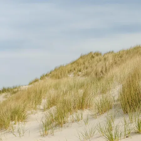 Strandhus Uiterst-hoern Treibholz Baltrum