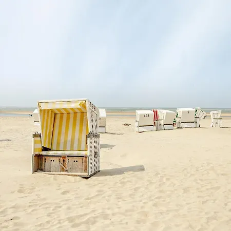 Strandhus Uiterst-hoern Treibholz * Baltrum