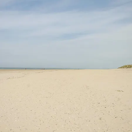 Strandhus Uiterst-hoern Treibholz *