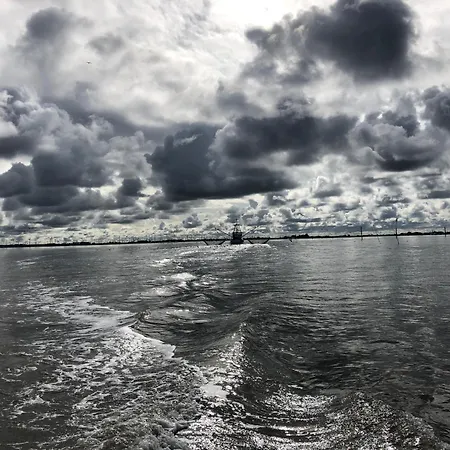 Strandhus Uiterst-hoern Treibholz *