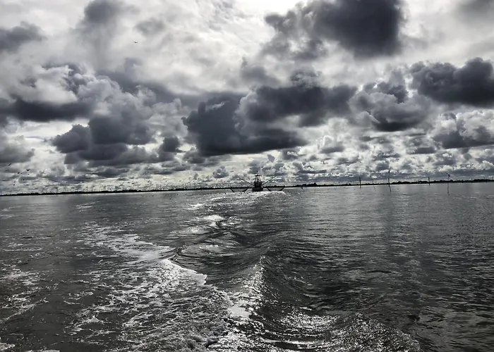 Strandhus Uiterst-hoern Treibholz * Baltrum